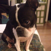 Foto von Sally Smith