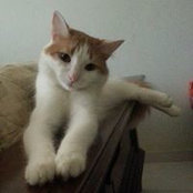 Marilyn Almonte's photo
