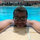 Amr Shawki