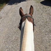 Steffi Von Pock's photo