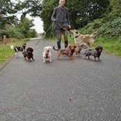 Heidi Vallender's photo