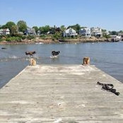Carol Nyffenegger's photo