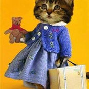 Anita Capetta's photo