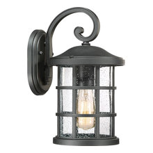Outdoor Lights