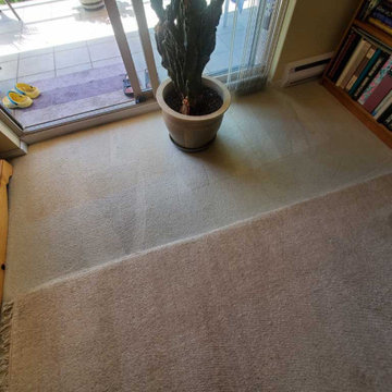 Steam Cleaning Two Bedroom Condo and Area Rug Condo Coquitlam BC Canada