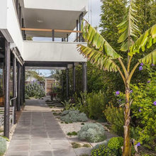 Dream Side Garden Ideas