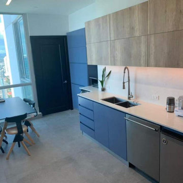 Kitchen Island Sink Workstation & Dishwasher Cabinet Zone
