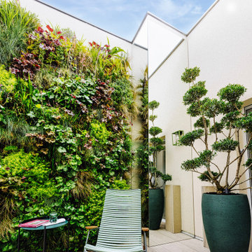 Aménagement d'un patio