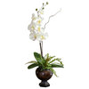Orchids In Contemporary Vase, White