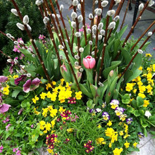 Spring Planter Ideas
