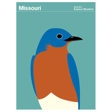 Missouri Eastern Bluebird Print
