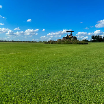 TifTuf® Bermuda grass project!