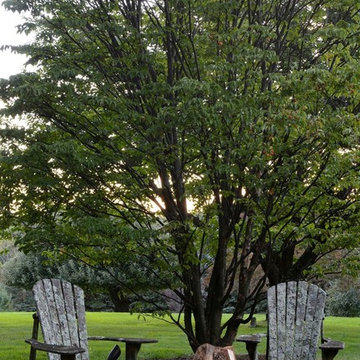 Garden Restoration