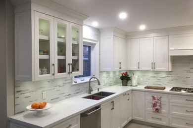 Kitchen - transitional kitchen idea in Toronto