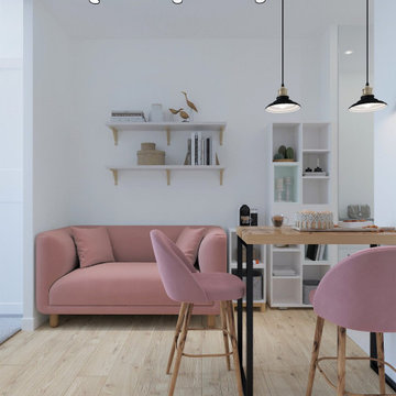 Small Studio Apartment in Scandinavian Style
