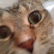 Natalie Adams's photo
