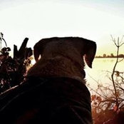 Jason Hansgen's photo
