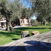 Carlo Torsi's photo