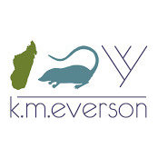 Katie Eversons billede