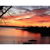 Foto de Nancy Dunn-Herndon
