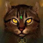Sue Sweetman's photo