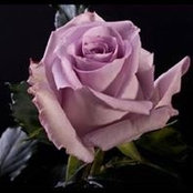 Debra Bengtson's photo