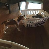 Crystal Baxley's photo