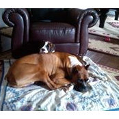 Carl Berlin's photo