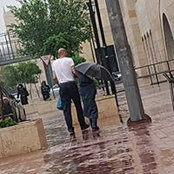 Foto von Aya Essam