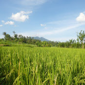 Audrey Deleporte's photo