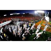 Lucie Walker's photo