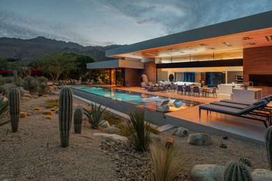 Foto de piscina infinita minimalista extra grande rectangular en patio trasero con paisajismo de piscina