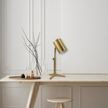 Pratt 18" Desk Lamp, Matte Brass Finish, Adjustable Height, In-Line Rocker On/Of