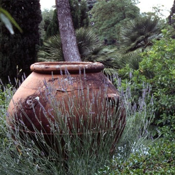 Mediterranean Landscape Design