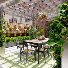 Trellis