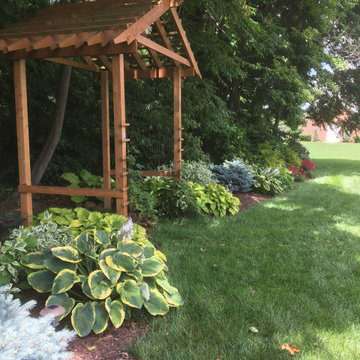Woodland border and entryway