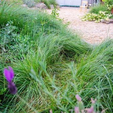 Back Lawn Renovation