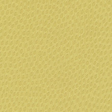 fabrics