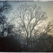 John Schneider III's photo