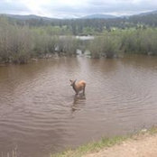Sarah Stringer's photo