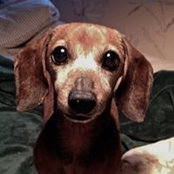 Ginger Pettus's photo