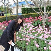 Foto von Casandra Teo