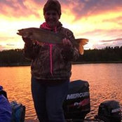 Judy Johnson's photo