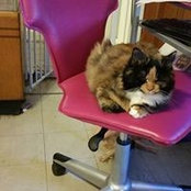 Neldora Lawrence's photo
