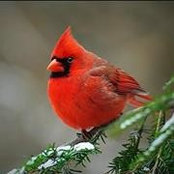 Tosha Briles's photo