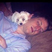 Evan Hookers foto