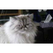 Heidi Bence's photo