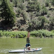 Monica Viall's photo