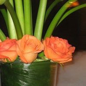 Marina Zelikman's photo