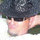 Robbie Britton